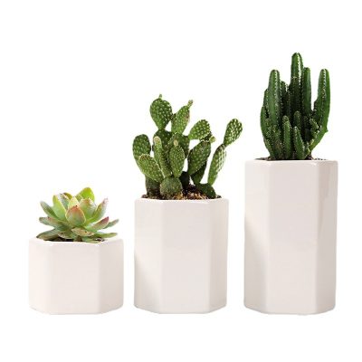 H9f6b1c4ecb4248e0b0477cfd852f4bbdA_20240625115315_833