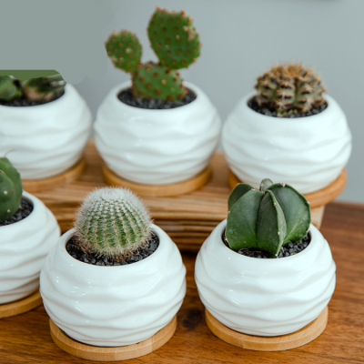 Ha059f2b620d74f868923a2e48a5a539dM_20240625115253_158