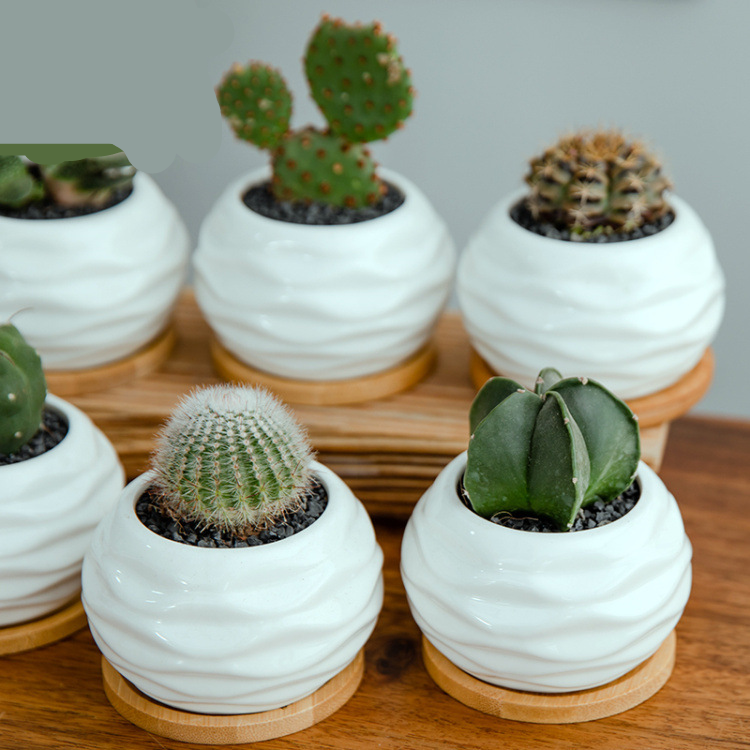 Ha059f2b620d74f868923a2e48a5a539dM_20240625115253_158