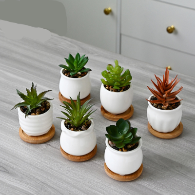 Hb0748a9258164493a0e69d642300285ep_20240625115224_171