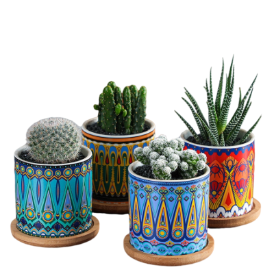 Hcab9a9fa75da47fdb446e3e5155ee173q_20240627105643_323