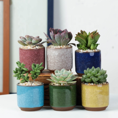 Hd098437c6041443bae7847c8d14ebad6w_20240618102306_756