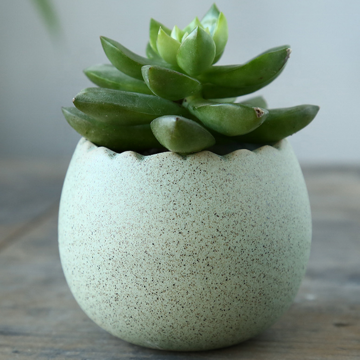 Hd40ddb2d38854dfca8410bb3b9659697d_20240613090614_875