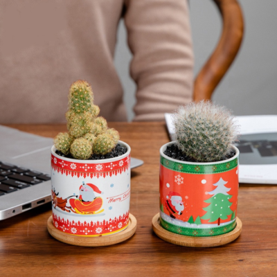 Hdf63bbd0a3ba4d418801a5e67738b703T_20240627105613_283