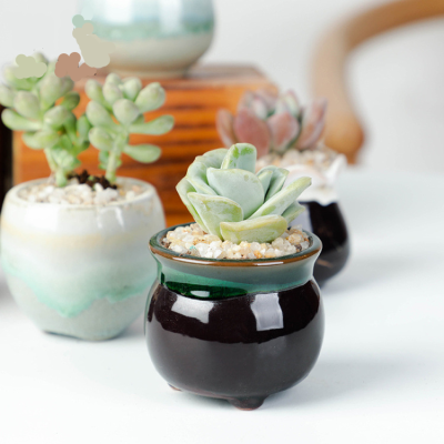 Hf50d92dd2edc428282e6c114e1098d22d_20240619114449_926