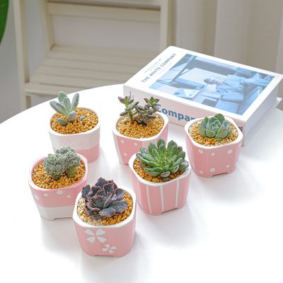 H1718d5f798b942cd872b2268931b72fbg_20240702163636_353