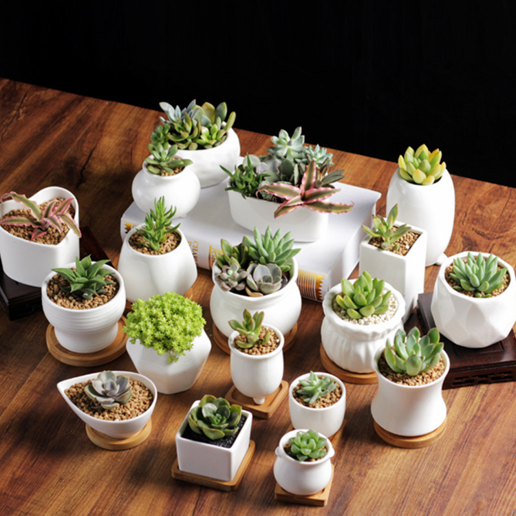 20240323_e23d6b1bb6d64b5a_454987339068_mp4_264_ld_unlimit_taobao_20240708145703