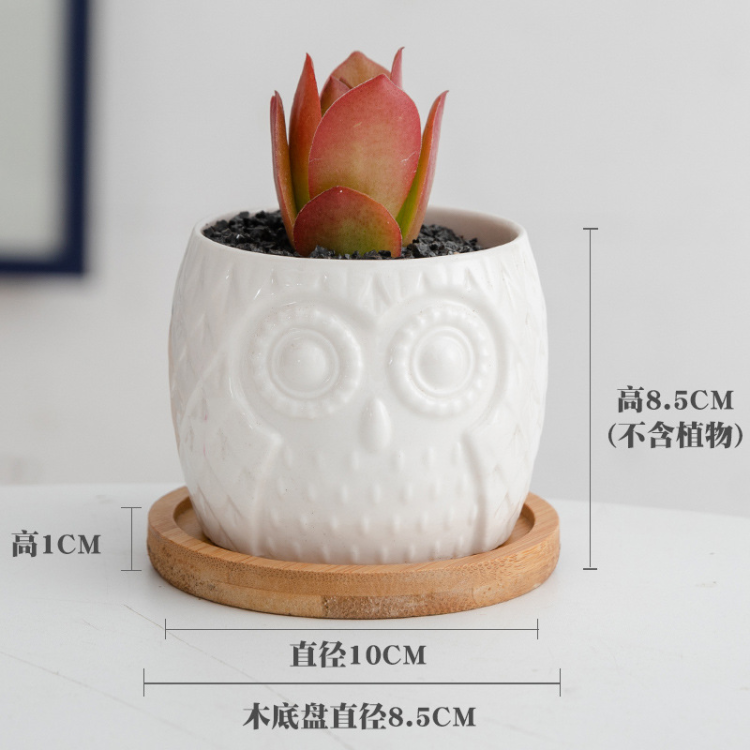 H60a12cb786c3413b8a784af9f1fa362bD_20240703110409_347