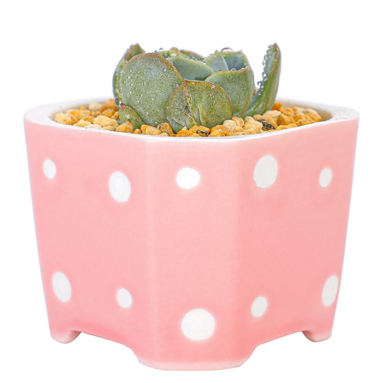 H71233017d53e4fa2adb088a4e90b63ecQ_20240702163641_13