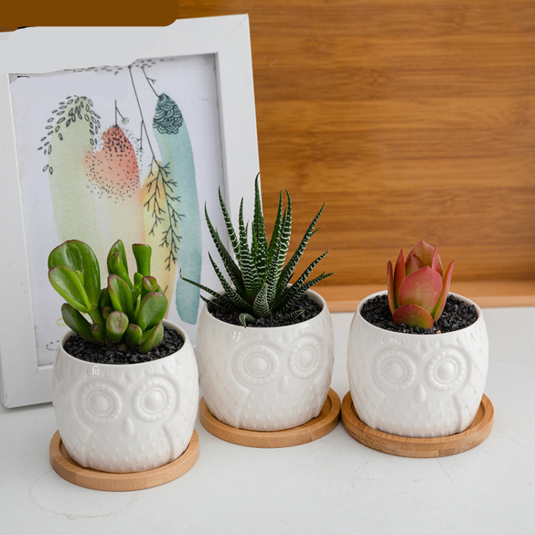 Hbb8decb6867d4d979a6ae2c8cd755c9dW_20240703110404_240