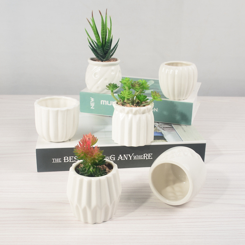 20240323_e23d6b1bb6d64b5a_454987339068_mp4_264_ld_unlimit_taobao_20240702163609