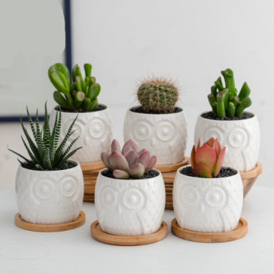 Hf4c82bdedaa64100bf7d2c5a62831b20d_20240703110403_607