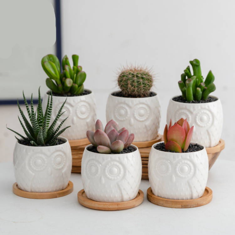 20240323_a9204cabde8c5669_454518201054_mp4_264_ld_unlimit_taobao_20240703110402