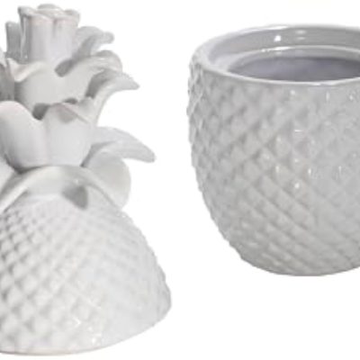 H02465c65dc8149778c2663d3c86e440db_20241227175752_639