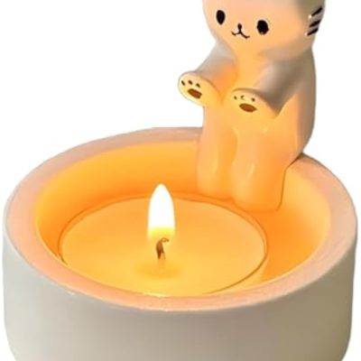 Ha50dd1bdd0f14e6c8a8f43595d313d3am_20250225182352_233