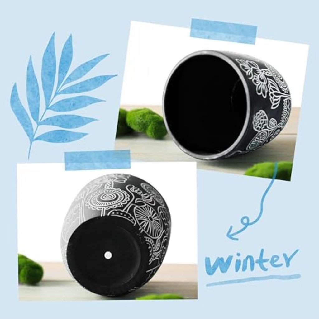 H3641d946f46b4e3589a78cea8a60aa6bd_20250305155127_836