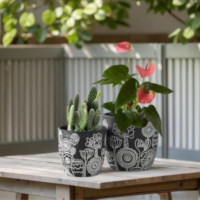 Hc48dee7efc4843f998d755f3a6f5ca1bP_20250305155128_715