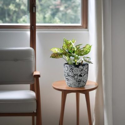 Hf367a1bf79184a3399fa3cec09b47e85x_20250305155123_11