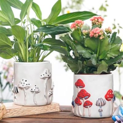 H044ac6afcc78429e94b22a076b62f505d_20250407180258_357