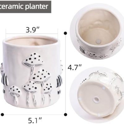 H6350848ba2474563a471323e03201adfU_20250407180303_118