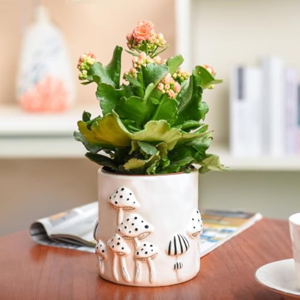 H6b2e749a4f8b43ef9a9274428501c62d7_20250407180259_335