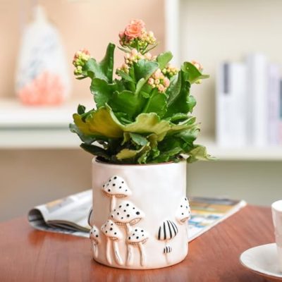 H6b2e749a4f8b43ef9a9274428501c62d7_20250407180259_335