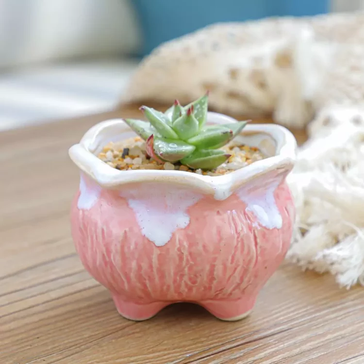 H13401305c99a4fc7a9e9660c46f0d297R_20250507145242_266