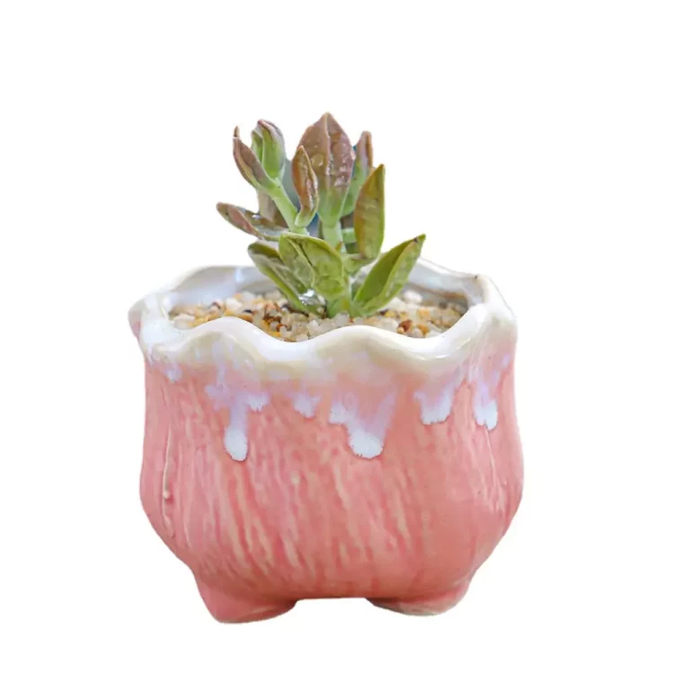 H8aac621340d04eb29e726065598faffdi_20250507145245_375