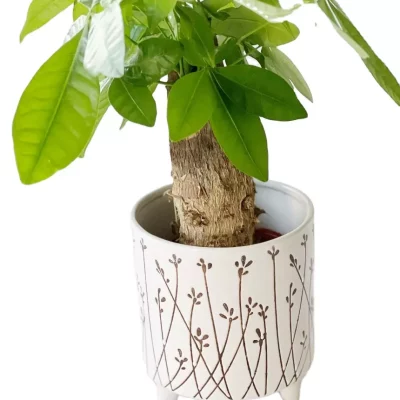 Hb121e834327c460cab84bc9179eb6564q_20250507151931_914