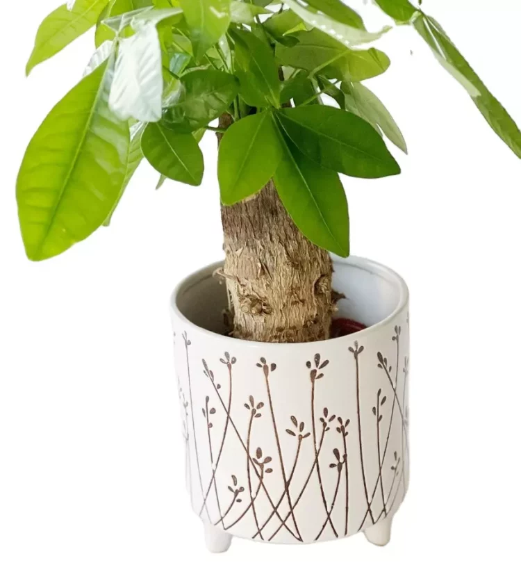 Hb121e834327c460cab84bc9179eb6564q_20250507151931_914