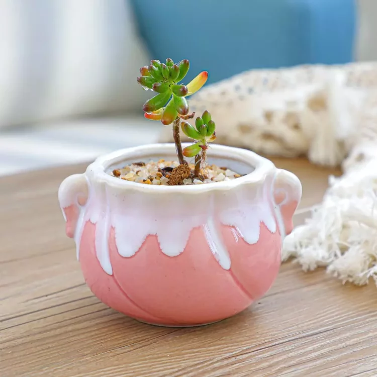 Hf9c369a81c4944da895e219b5f8233dfN_20250507145244_645