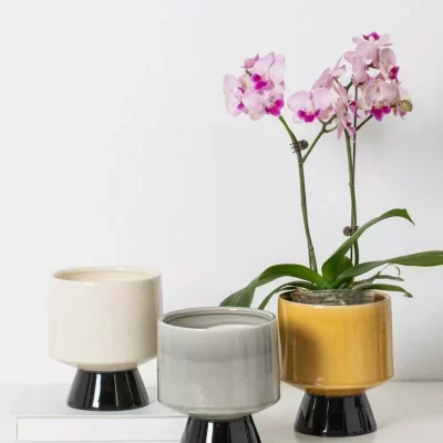 21c7346733326e00cb87e4c1f803f9e8