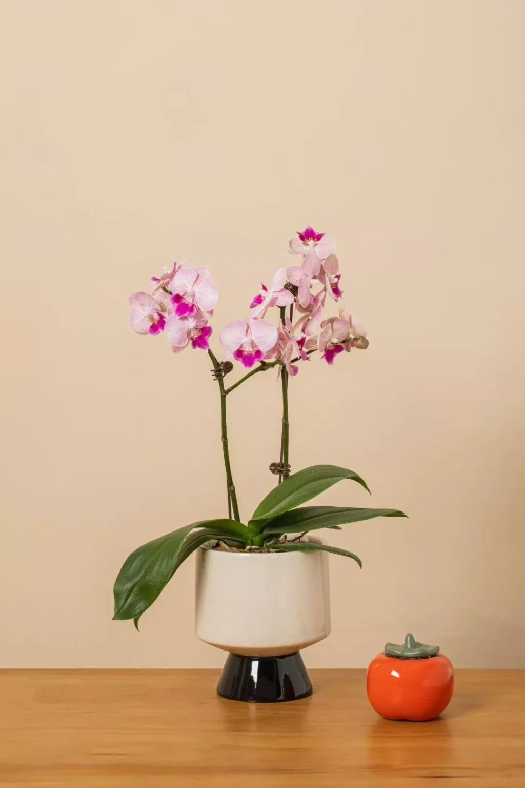 2c30077ad25ab95091887356e434ce39