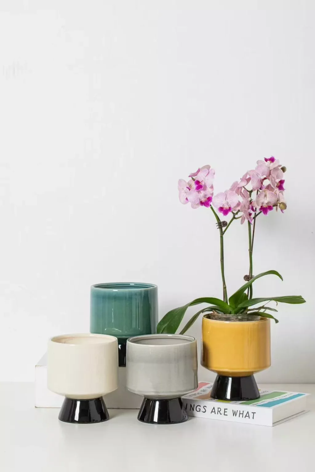 415c86ab907e78becc0004cec5d5d526