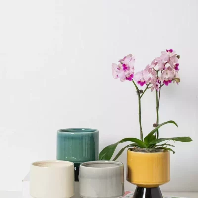 415c86ab907e78becc0004cec5d5d526