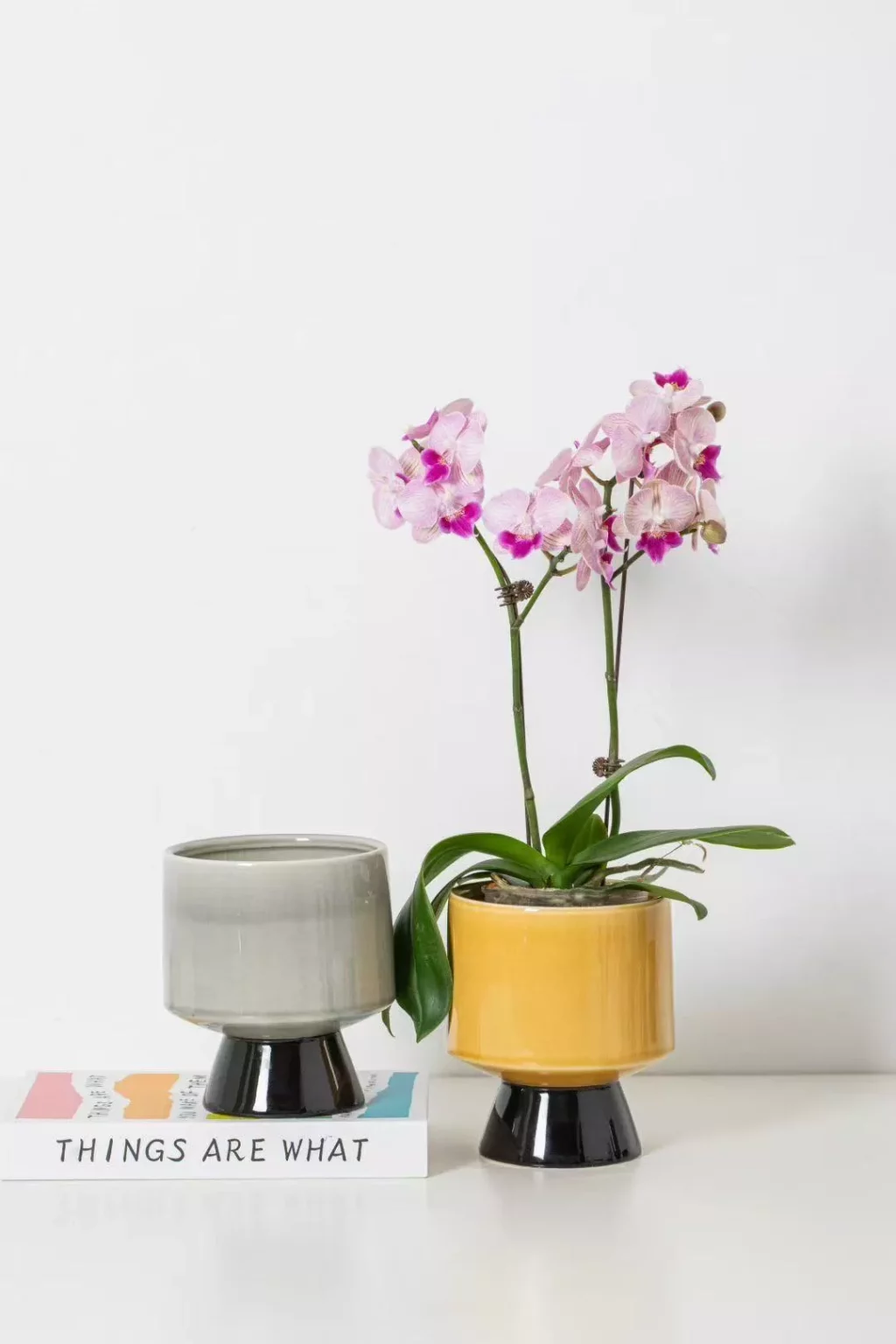 4354e1f53d8bbc14fc69a3b9536bea3e