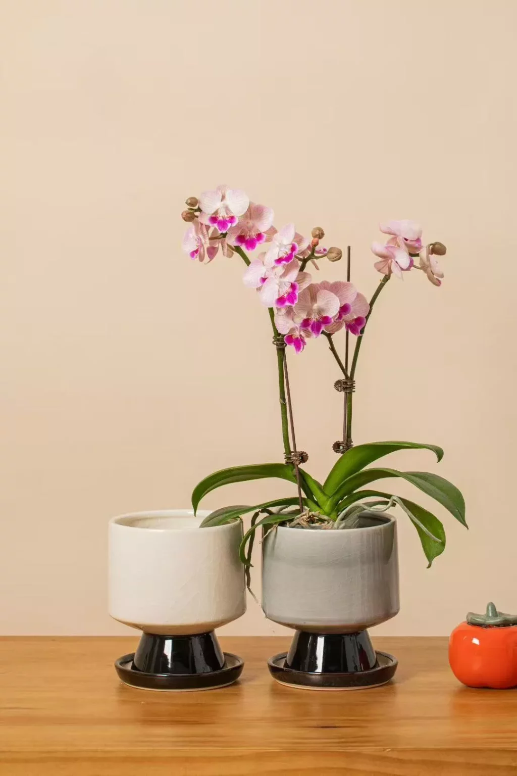 5043b17fb59db5a494e87f09f76a72c5