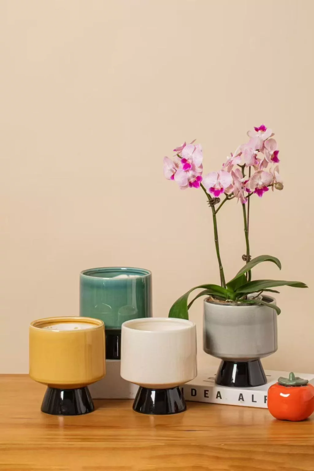 655b02f4cf1b79fa9da54d371fd1f069