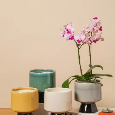 655b02f4cf1b79fa9da54d371fd1f069