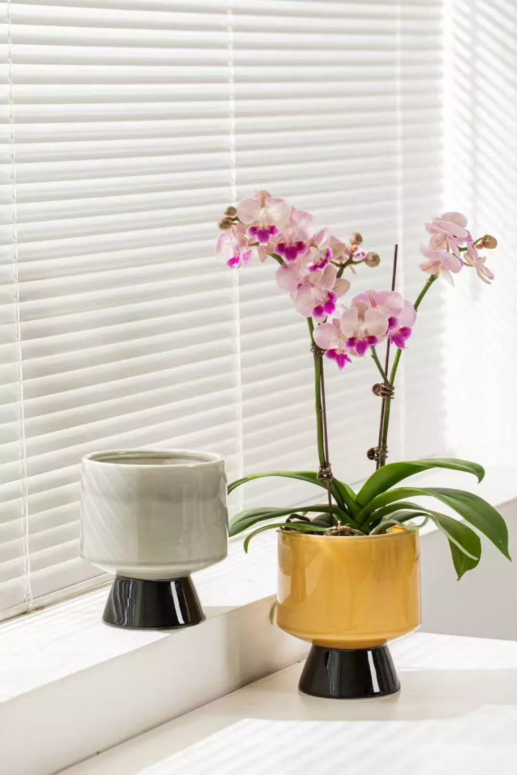 9d0b715f14eafc5283dcd9aa780014ba