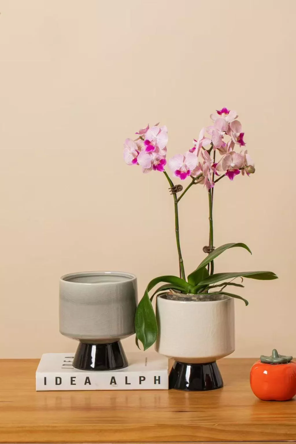 c4fdffa7bcb6f9d7b5145f02c77dd6db