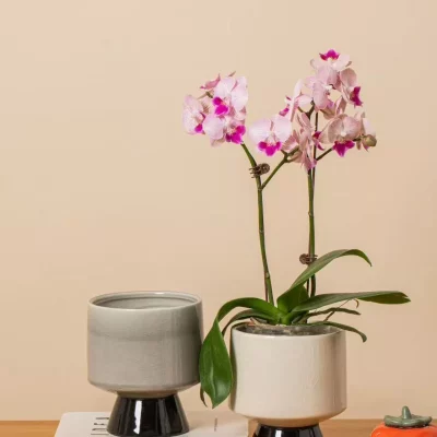 c4fdffa7bcb6f9d7b5145f02c77dd6db