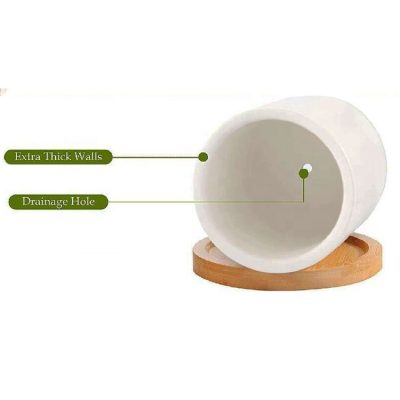 A63ab92fd559846bf819301a5a170b15ez