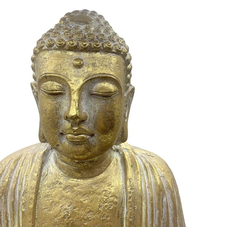 H00072201c5554e7d869132e54442f948M