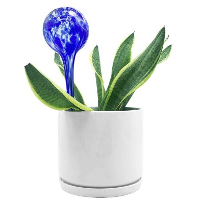 H00237dc9d07f44ff8e75c68921a120e0q