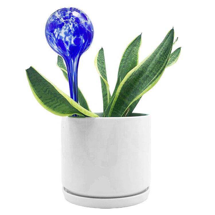 H00237dc9d07f44ff8e75c68921a120e0q