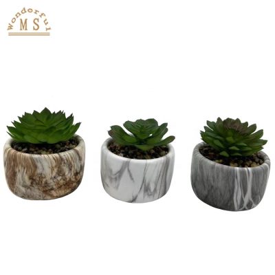 H03ffd2b27d3a4fc29d8aa0fc7d53606c8