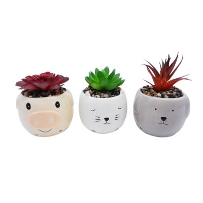 H0a3ca377a849484db56c6ce592a7eccc7