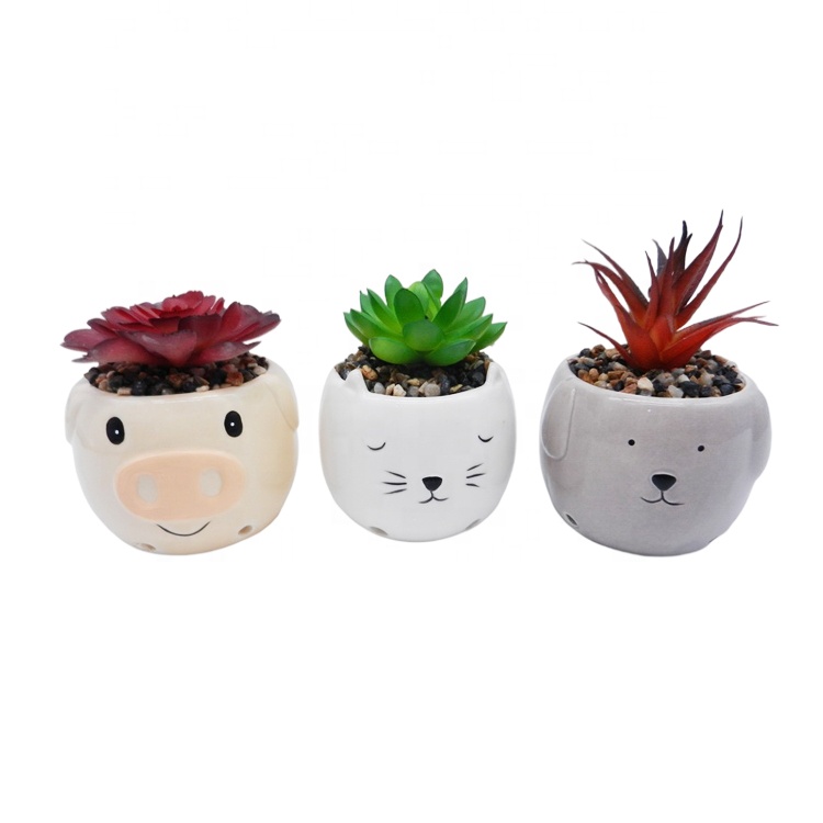 H0a3ca377a849484db56c6ce592a7eccc7