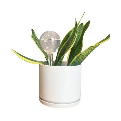 H35a26f6a838b45b4be4bb97cd7ff4bc2o